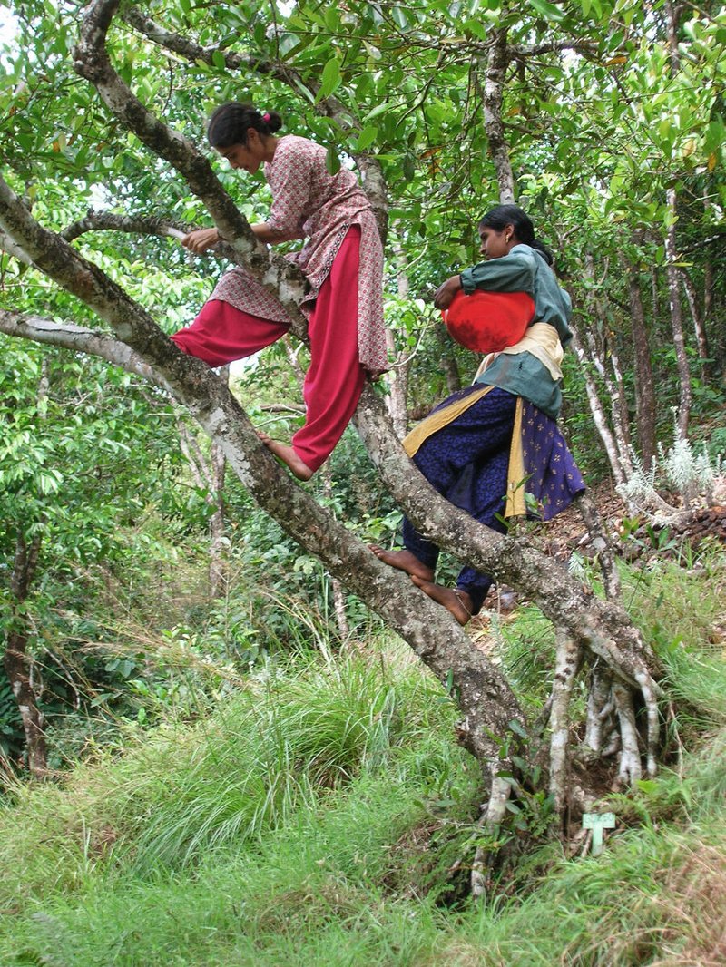 Gurukula Botanical Sanctuary