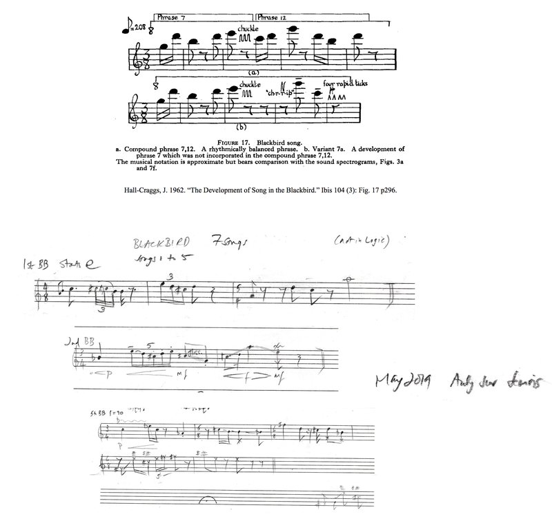 5_Music notation_Hall-Craggsâs_Blackbird song_Wishartâs_Blackbird song.jpg