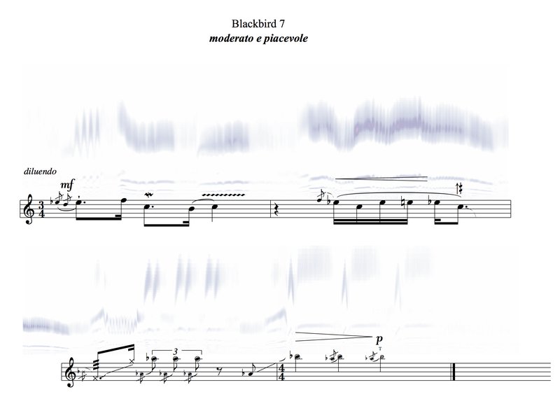 HEADER IMAGE_blackbird_song_notation+sonogram_portrait.jpg