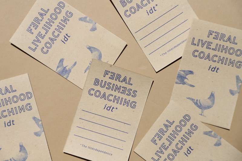 feral_livelihood_coaching_notweed_cards.width-800.jpg